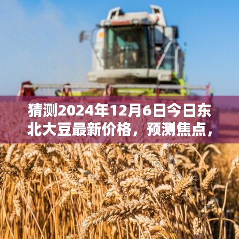 猜测2024年12月6日今日东北大豆最新价格，预测焦点，2024年12月6日东北大豆最新价格走势分析