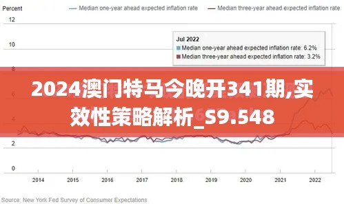 2024澳门特马今晚开341期,实效性策略解析_S9.548