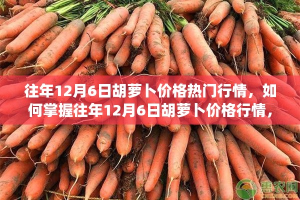 往年12月6日胡萝卜价格热门行情，如何掌握往年12月6日胡萝卜价格行情，全面指南