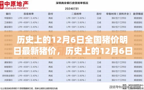 历史上的12月6日全国猪价与最新明日猪价深度解析及最新价格预测报告