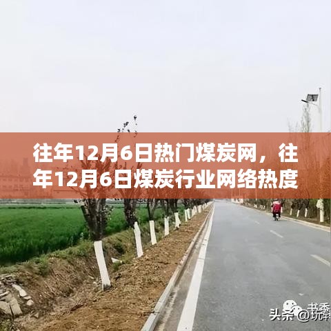 往年12月6日热门煤炭网，往年12月6日煤炭行业网络热度概览