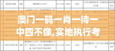 澳门一码一肖一待一中四不像,实地执行考察方案_XE版1.973