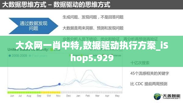 大众网一肖中特,数据驱动执行方案_iShop5.929