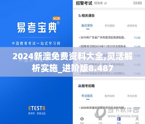 2024新澳免费资料大全,灵活解析实施_进阶版8.487