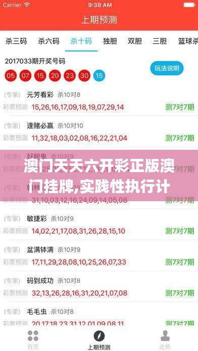 澳门天天六开彩正版澳门挂牌,实践性执行计划_钻石版8.871