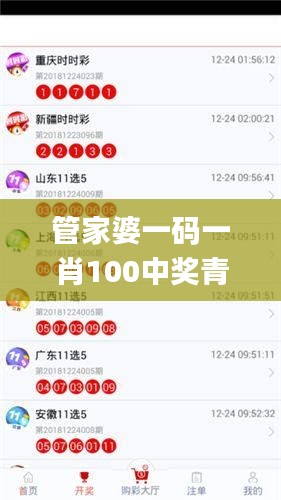 管家婆一码一肖100中奖青岛,快速问题处理策略_经典版10.658