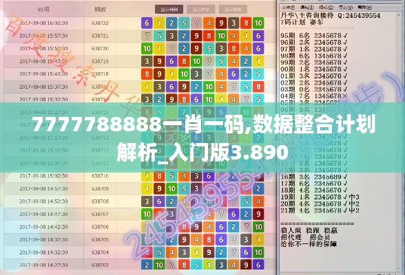 7777788888一肖一码,数据整合计划解析_入门版3.890