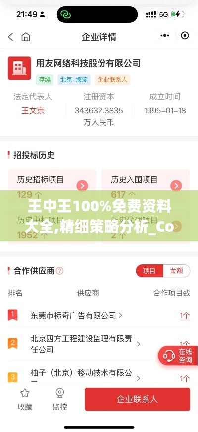 王中王100%免费资料大全,精细策略分析_Console6.205