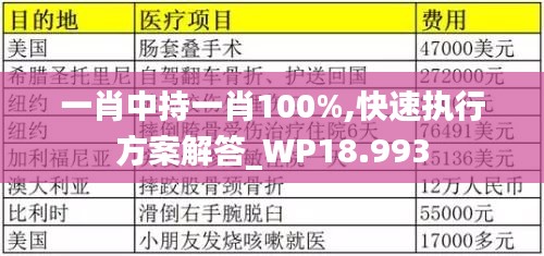 一肖中持一肖100%,快速执行方案解答_WP18.993