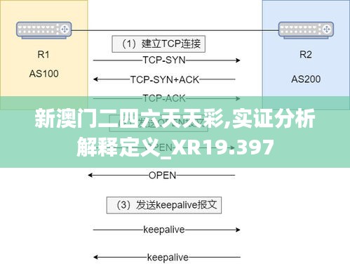 新澳门二四六天天彩,实证分析解释定义_XR19.397