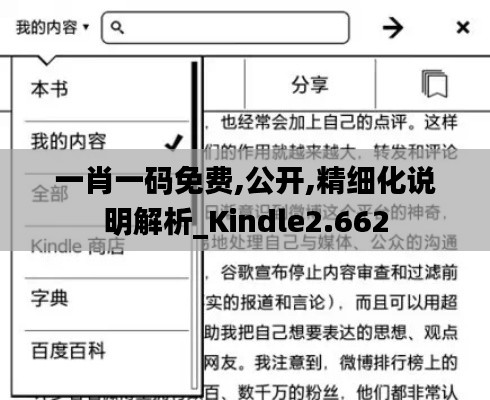 一肖一码免费,公开,精细化说明解析_Kindle2.662