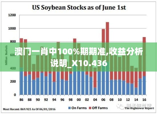 澳门一肖中100%期期准,收益分析说明_X10.436