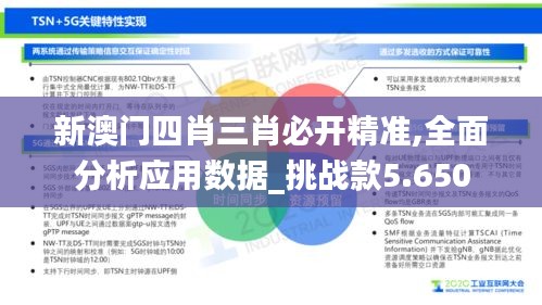 新澳门四肖三肖必开精准,全面分析应用数据_挑战款5.650