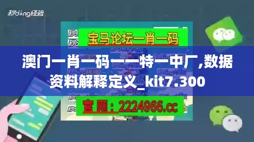 澳门一肖一码一一特一中厂,数据资料解释定义_kit7.300