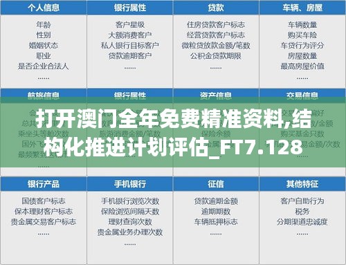 打开澳门全年免费精准资料,结构化推进计划评估_FT7.128