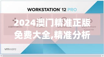 2024澳门精准正版免费大全,精准分析实施步骤_WearOS10.596