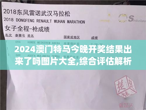 2024澳门特马今晚开奖结果出来了吗图片大全,综合评估解析说明_进阶版11.139