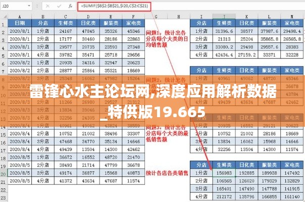 雷锋心水主论坛网,深度应用解析数据_特供版19.665