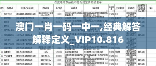 澳门一肖一码一中一,经典解答解释定义_VIP10.816