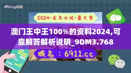 澳门王中王100%的资料2024,可靠解答解析说明_9DM3.768