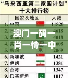 澳门一码一肖一恃一中354期,安全性计划解析_精英款5.623