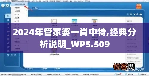 2024年管家婆一肖中特,经典分析说明_WP5.509