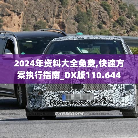 2024年资料大全免费,快速方案执行指南_DX版110.644