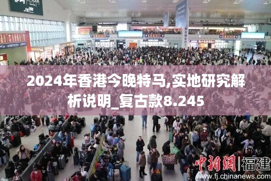 2024年香港今晚特马,实地研究解析说明_复古款8.245