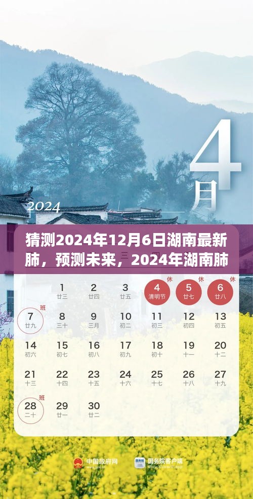 湖南肺部健康预测，未来动向与最新趋势展望至2024年12月6日