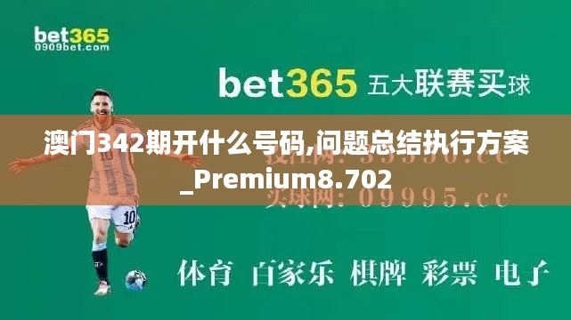 澳门342期开什么号码,问题总结执行方案_Premium8.702