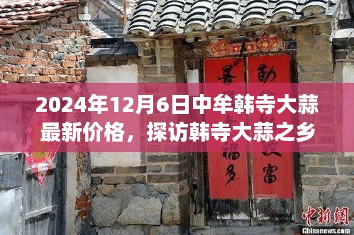 2024年12月6日中牟韩寺大蒜最新价格，探访韩寺大蒜之乡，一次寻找心灵宁静的旅程