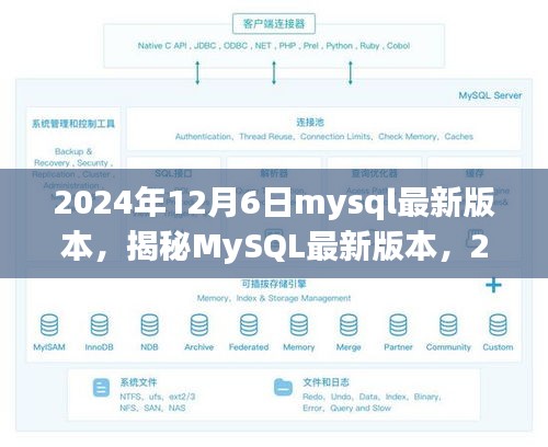 揭秘MySQL最新版本，探索之旅至2024年12月6日（要点详解）