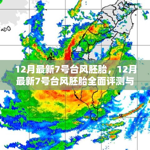 2024年12月8日 第8页