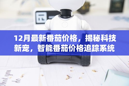 12月最新番茄价格，揭秘科技新宠，智能番茄价格追踪系统——体验前沿科技如何重塑蔬菜市场