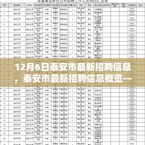 泰安市最新招聘信息概览，12月6日更新职位速递