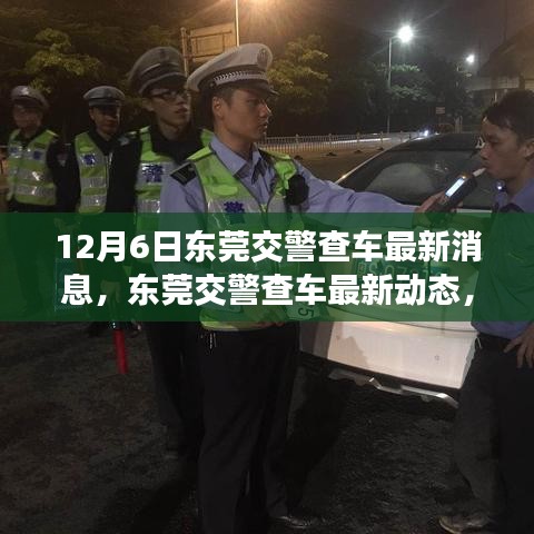 东莞交警最新查车动态，新手指南，应对12月6日行动步骤详解