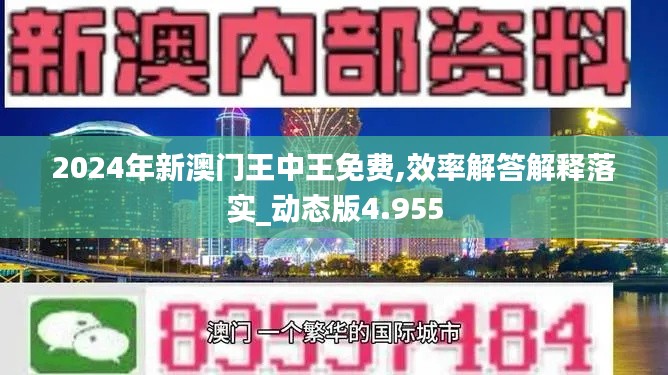 2024年新澳门王中王免费,效率解答解释落实_动态版4.955