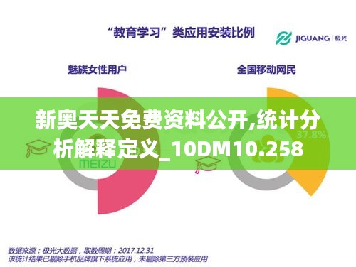 新奥天天免费资料公开,统计分析解释定义_10DM10.258