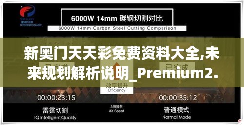 新奥门天天彩免费资料大全,未来规划解析说明_Premium2.306