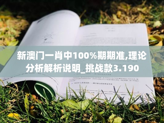 新澳门一肖中100%期期准,理论分析解析说明_挑战款3.190