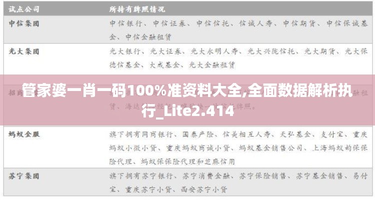 管家婆一肖一码100%准资料大全,全面数据解析执行_Lite2.414