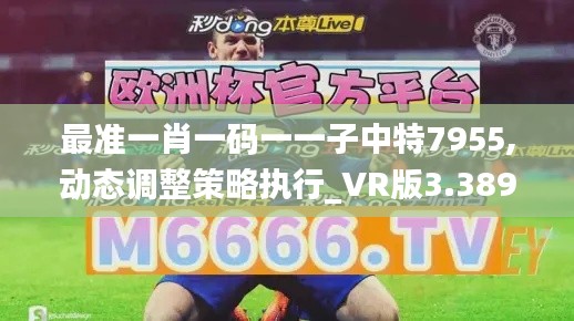 最准一肖一码一一子中特7955,动态调整策略执行_VR版3.389