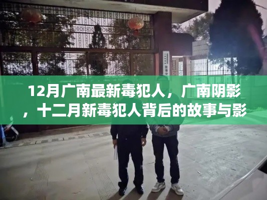 广南阴影，十二月新毒犯人揭秘与影响探究