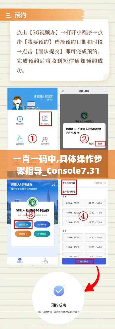 一肖一码中,具体操作步骤指导_Console7.315