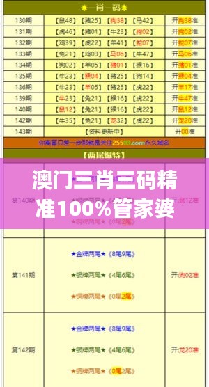 澳门三肖三码精准100%管家婆,高效实施方法解析_W1.284