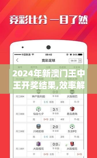 2024年新澳门王中王开奖结果,效率解答解释落实_X版6.128