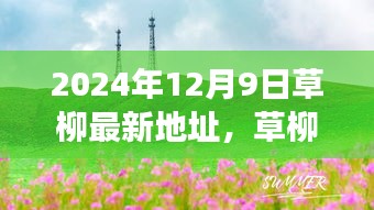 草柳新探，寻找内心平静的旅程（最新地址）