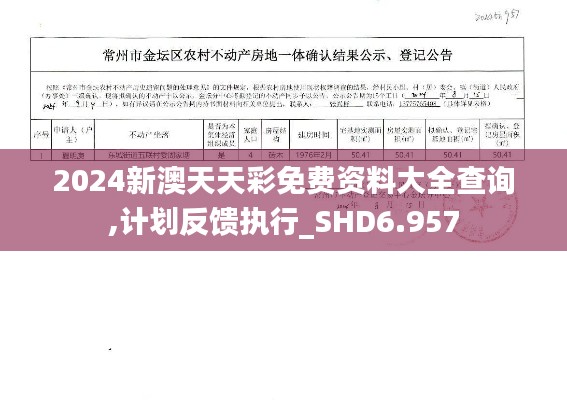 2024新澳天天彩免费资料大全查询,计划反馈执行_SHD6.957