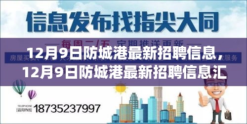 12月9日防城港最新招聘信息汇总，职场人的福音