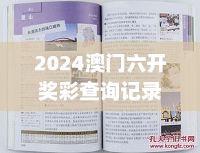 2024澳门六开奖彩查询记录,灵活操作方案设计_6DM12.214